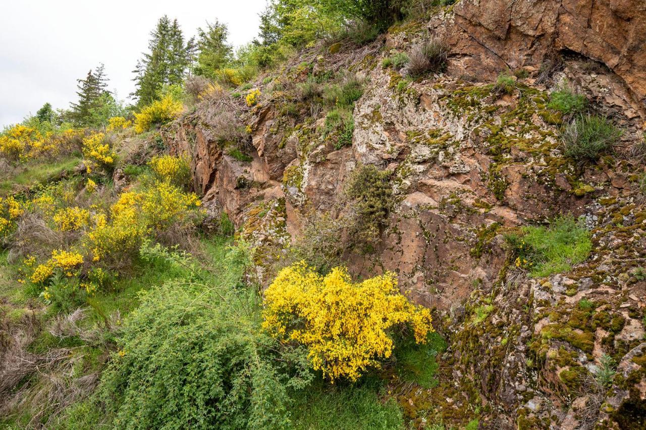 Viverols Moulin Des Comtes - Chambre Les Rochers מראה חיצוני תמונה